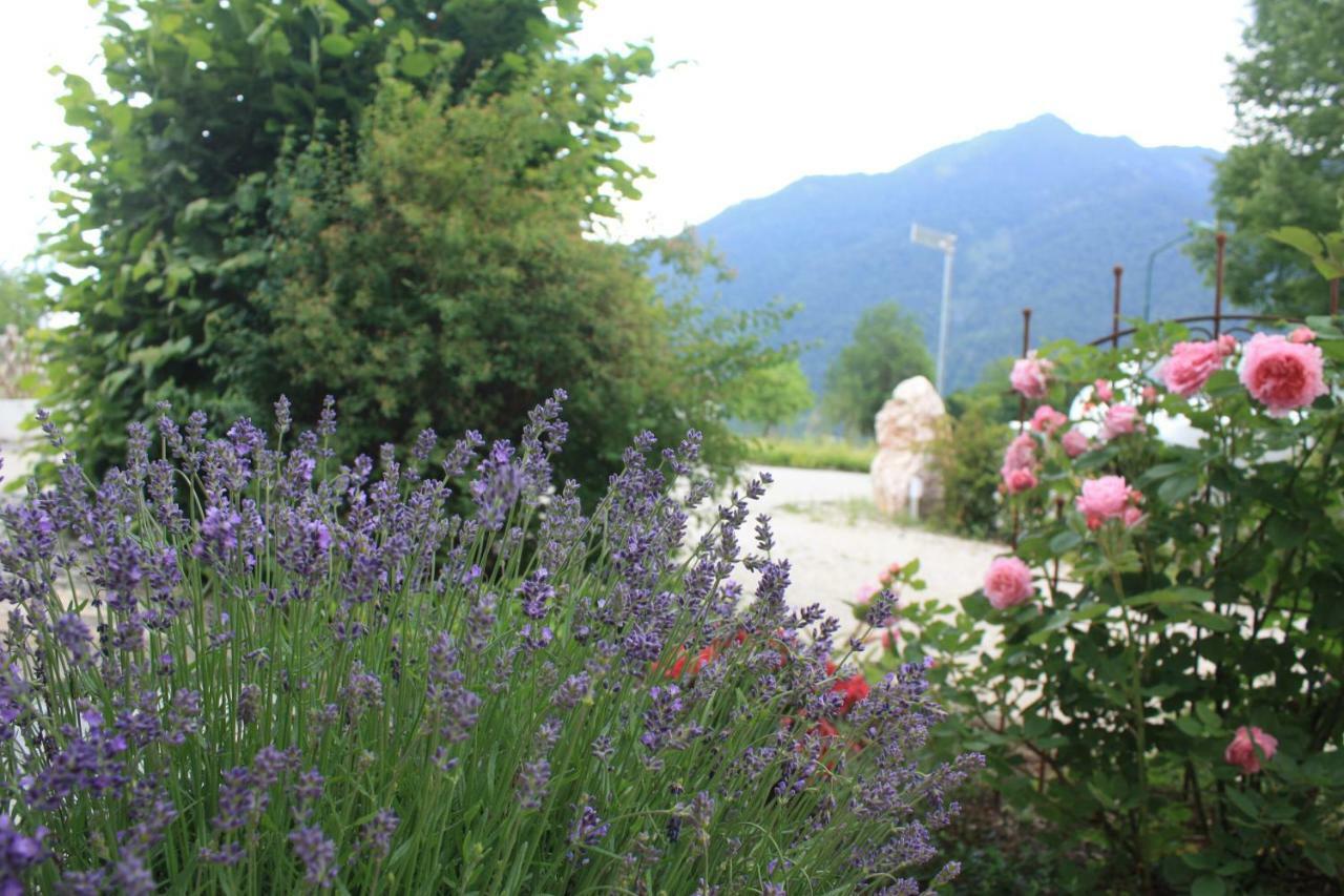 Landlust Ischl Bed & Breakfast Bad Ischl Exterior photo